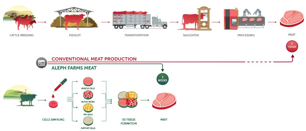 alephfarms-infographic